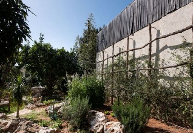 מסלעה מעוצבת על ידיי אדריכל נוף