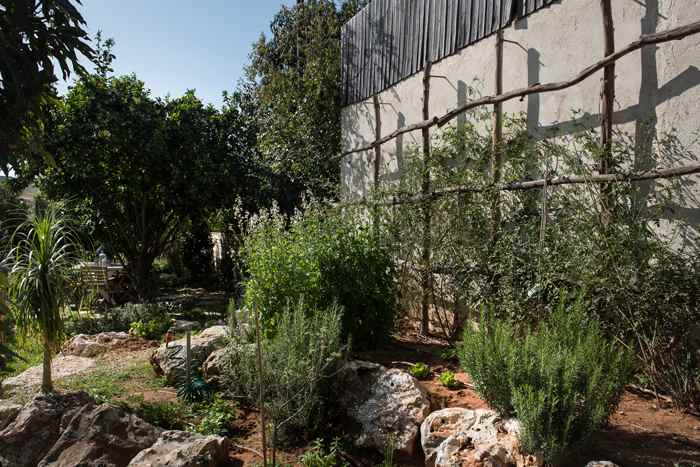 אדריכלות ועיצוב גינות