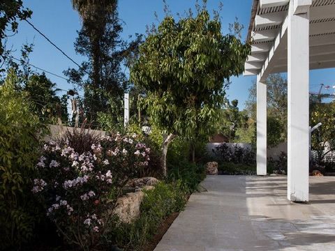 גינה מעוצבת ויפה במיוחד
