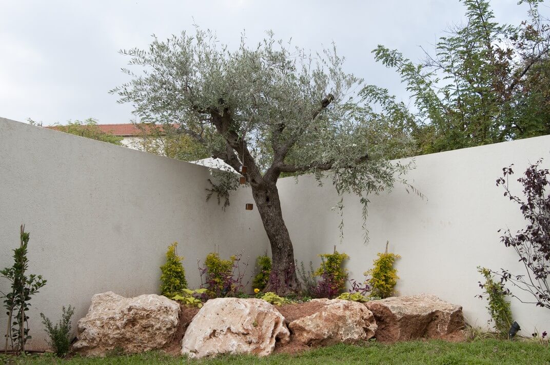 הגינה היפה של משפחת פסטר