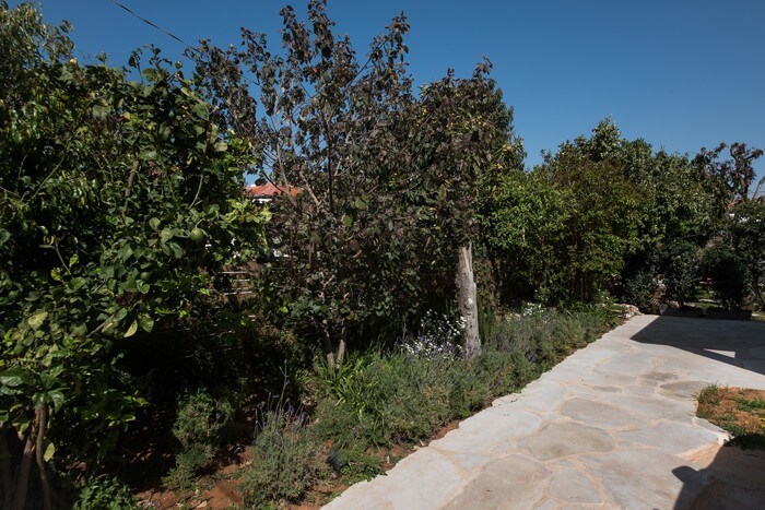 הקמת הגינה של קרן ושגיא