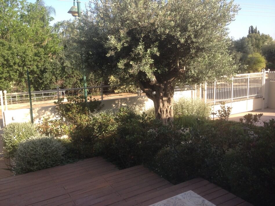 עיצוב הגינה של אורית ודניאל