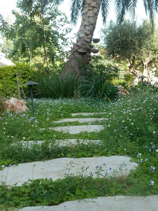 עיצוב הגינה של אורית ודניאל