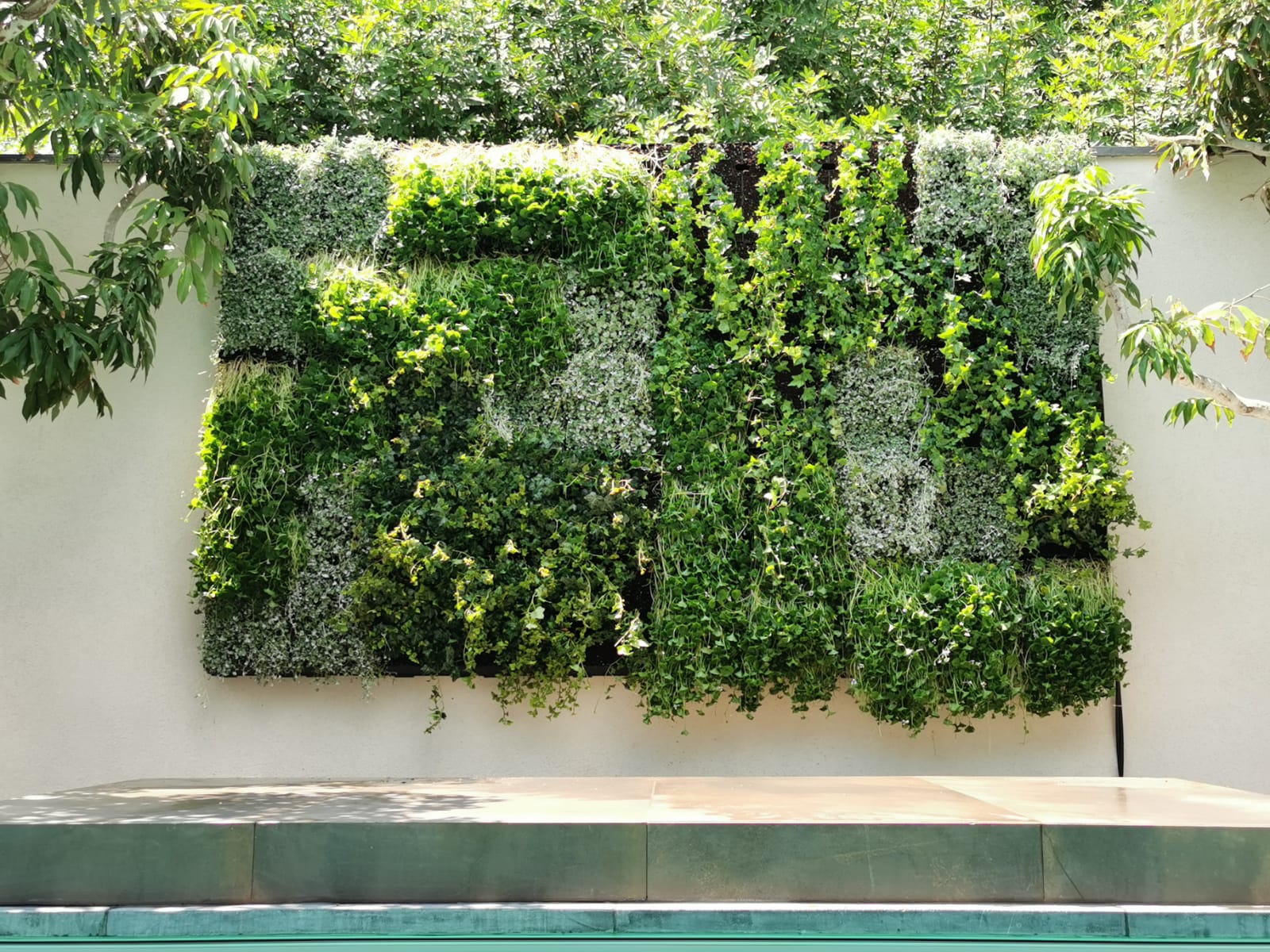 קיר ירוק – ביתה של אדריכלית…