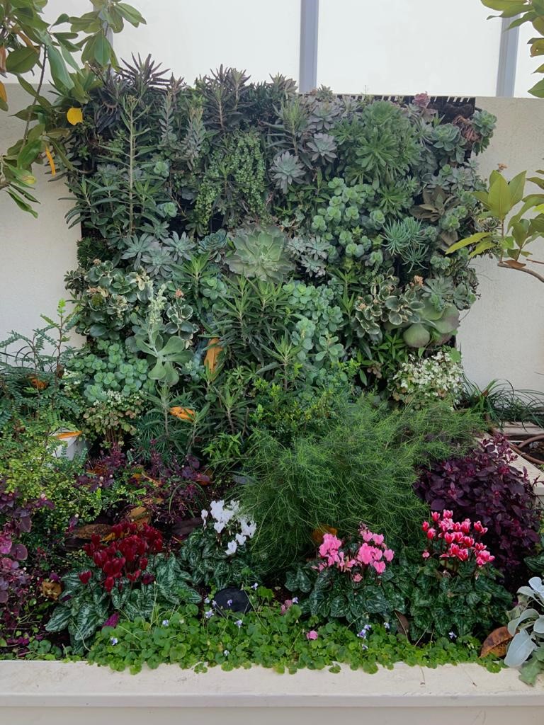 קיר ירוק בניחוח צרפתי…