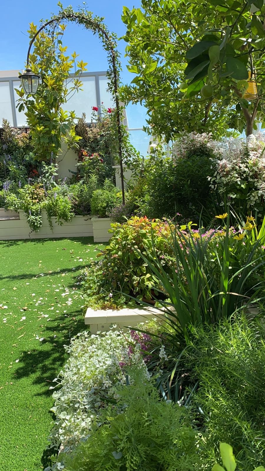 קיר ירוק בניחוח צרפתי…