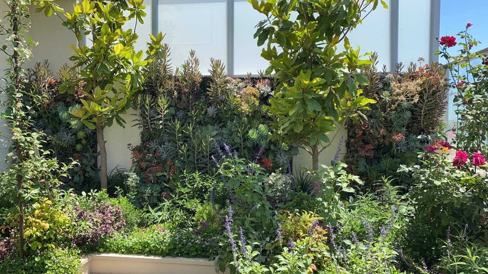 קיר ירוק בניחוח צרפתי…