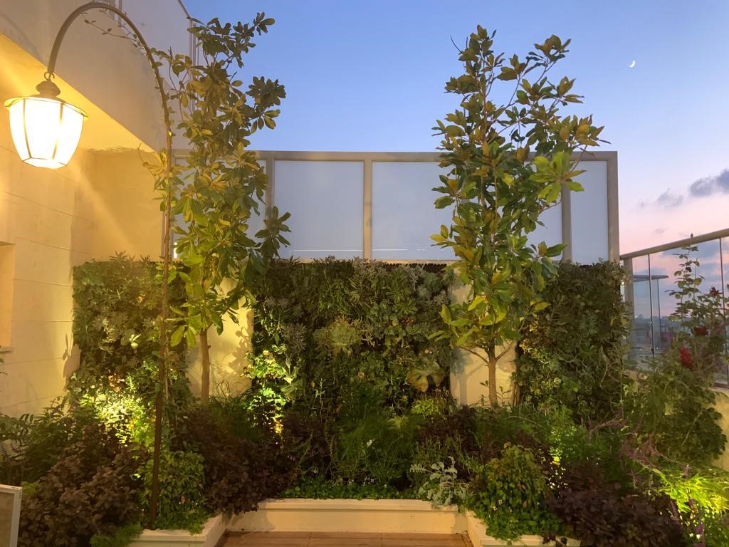 קיר ירוק בניחוח צרפתי…