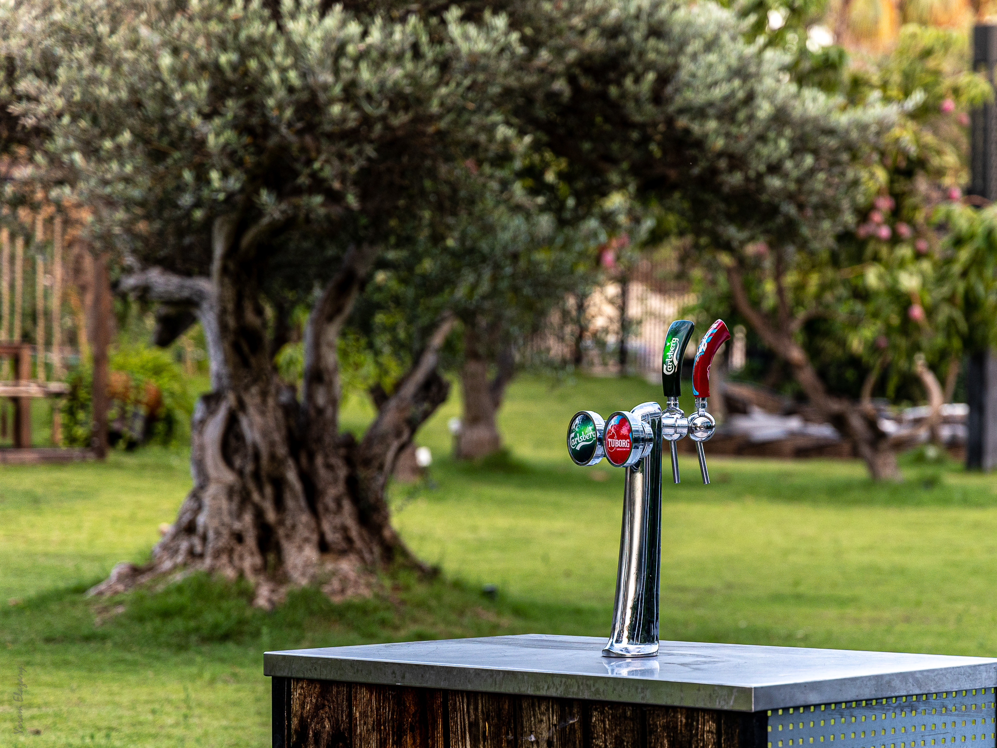 עיצוב גינה בגן אירועים…