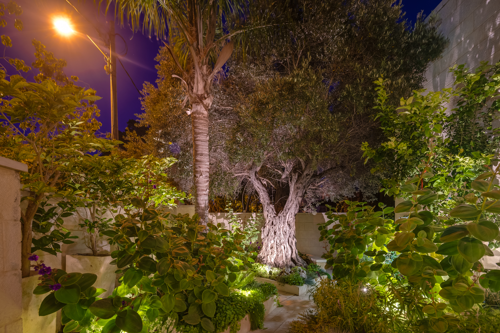בית נופש, גינה מעוצבת, רומנטית וייחודית – עיצוב גינת יוקרה – פרויקט בצפון תל אביב.