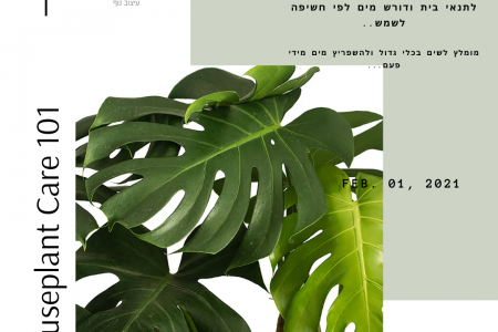 צמחי בית…